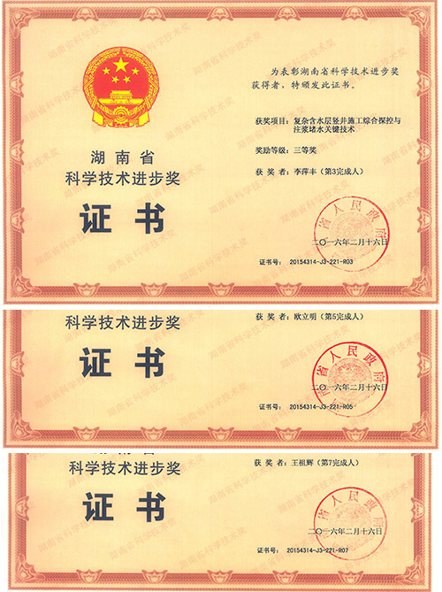 項(xiàng)目完成人李萍豐、歐立明、王祖輝分別榮獲個(gè)人三等獎(jiǎng)